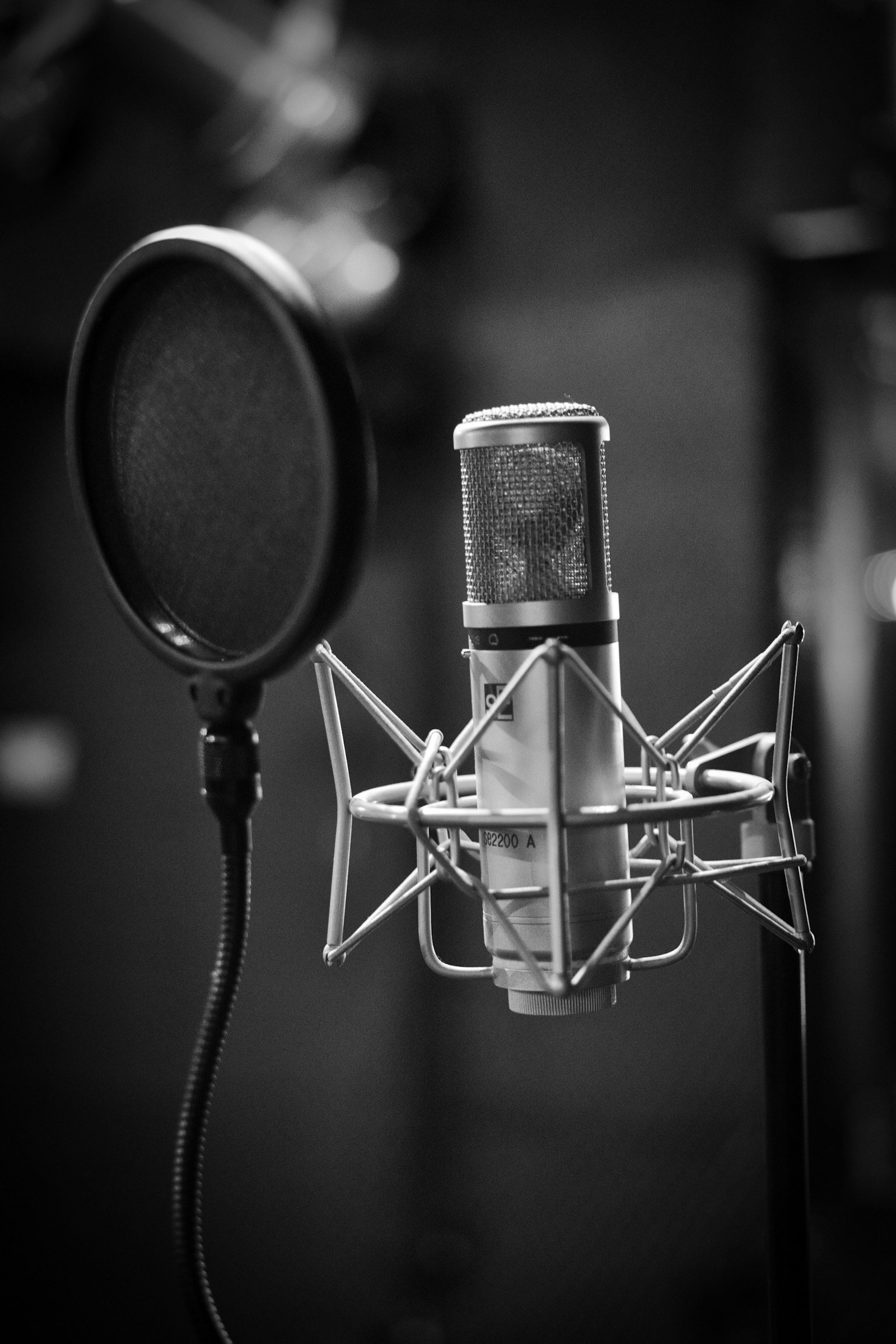 Studio condenser microphone